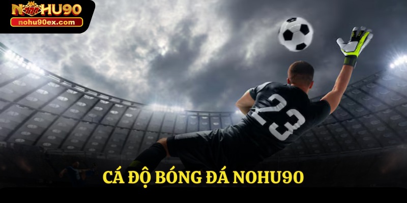 cá độ bóng đá