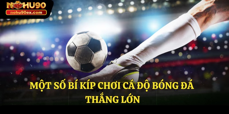 Chia Sẻ Kinh Nghiệm Cá Độ Bóng Đá Hay Nhất Tại Nohu90 4 Một số bí kíp chơi cá độ bóng đá thắng lớn